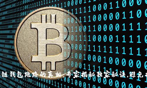 区块链钱包跑路的真相:专家揭秘独家秘诀,避免损失!