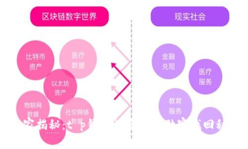 专家揭秘:t p钱包被盗币的独家找回秘诀