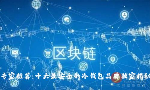 专家推荐:十大最安全的冷钱包品牌独家揭秘