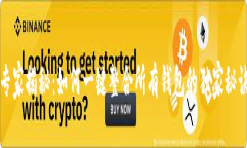 专家揭秘:如何一键整合所有钱包的独家秘诀