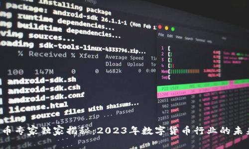 数字货币专家独家揭秘:2023年数字货币行业的未来秘诀!