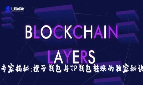 专家揭秘:橙子钱包与TP钱包转账的独家秘诀