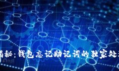 专家揭秘：钱包忘记助记词的独家处理
