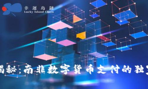 专家揭秘：南非数字货币支付的独家秘诀