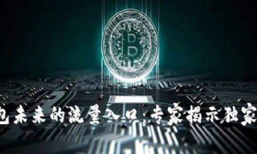 TP钱包未来的流量入口：专家揭示独家秘诀！