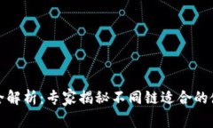 tP钱包全解析：专家揭秘不同链适合的