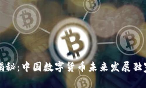 专家揭秘：中国数字货币未来发展独家秘诀