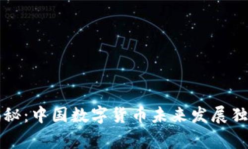 专家揭秘：中国数字货币未来发展独家秘诀