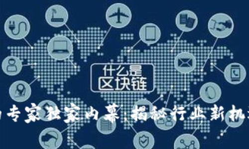 数字货币公司的专家独家内幕:揭秘行业新机遇与挑战的秘诀