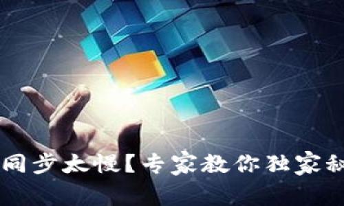 以太坊钱包同步太慢？专家教你独家秘诀快速解决