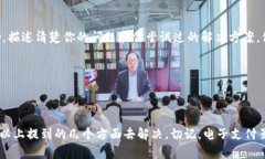 扫码TP钱包没进账的原因及解决办法最