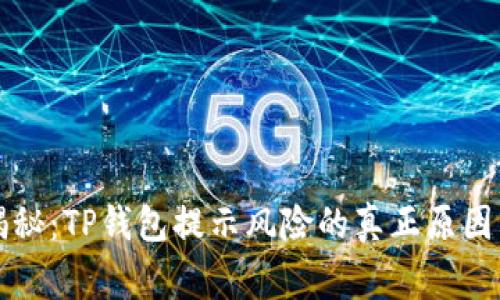 专家独家揭秘:TP钱包提示风险的真正原因与解决秘诀