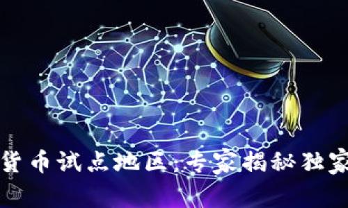 宁波数字货币试点地区：专家揭秘独家实施秘诀