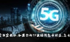 专家独家揭秘：如果你的TP波场钱包币