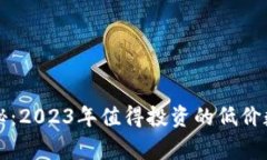 专家独家揭秘：2023年值得投资的低价