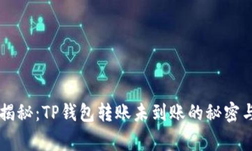 专家独家揭秘：TP钱包转账未到账的秘密与解决方法