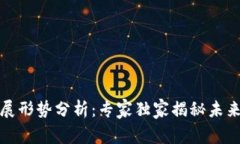 全球数字货币发展形势分析：专家独家