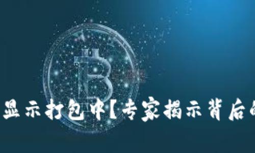 TP钱包提币显示打包中?专家揭示背后的独家秘诀!