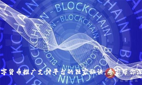 重庆数字货币推广支付平台的独家秘诀，专家带你深入了解