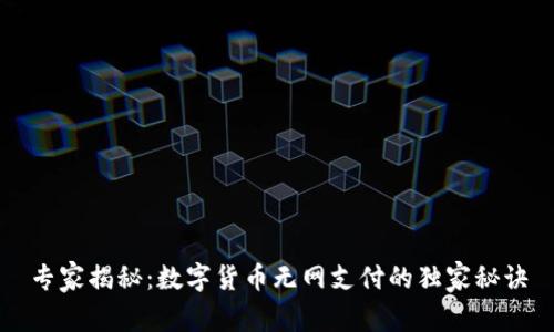 专家揭秘:数字货币无网支付的独家秘诀
