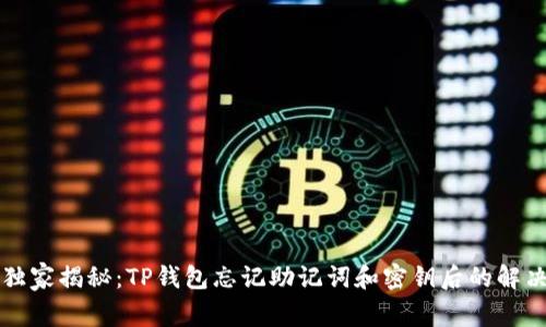 专家独家揭秘：TP钱包忘记助记词和密钥后的解决秘诀