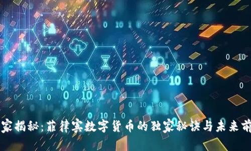 专家揭秘:菲律宾数字货币的独家秘诀与未来前景