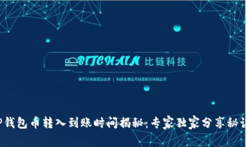 TP钱包币转入到账时间揭秘:专家独家分享秘诀!