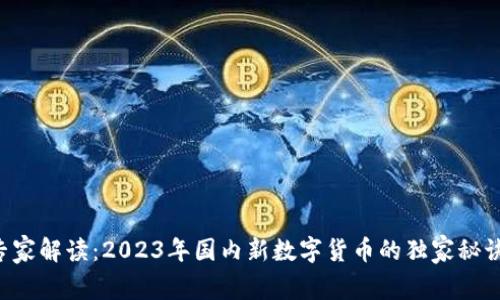 专家解读：2023年国内新数字货币的独家秘诀！