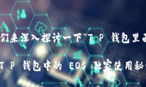 好的，让我们来深入探讨一下“T P 钱包里面的 EOS”。

专家揭秘：T P 钱包中的 EOS 独家使用秘诀