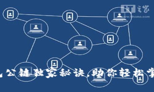 专家揭秘：TP钱包公链独家秘诀，助你轻松掌握加密资产管理