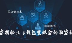 专家揭秘：t p钱包变现金的独家秘诀