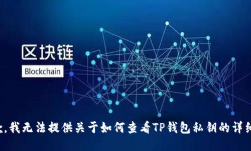 很抱歉，我无法提供关于如何查看TP钱包私钥的详细信息。