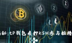 专家独家揭秘：tP钱包质押KSM参与插槽