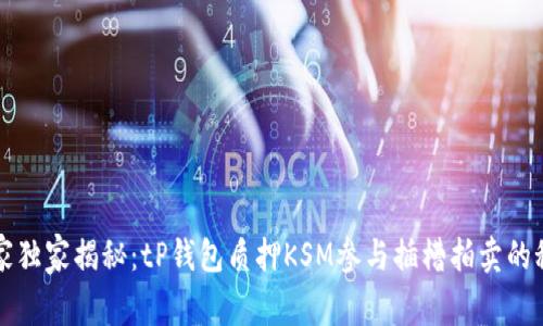 专家独家揭秘:tP钱包质押KSM参与插槽拍卖的秘诀