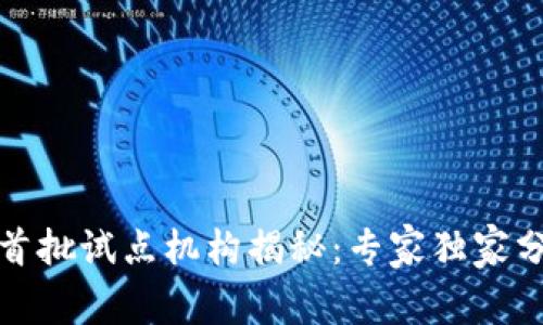 数字货币的首批试点机构揭秘：专家独家分享成功秘诀