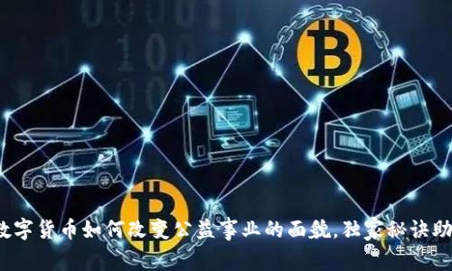 专家揭秘:数字货币如何改变公益事业的面貌,独家秘诀助力善款透明