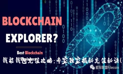 钱能钱包充值攻略：专家独家揭秘充值秘诀！
