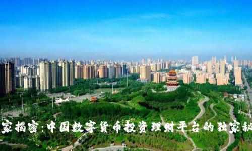 专家揭密:中国数字货币投资理财平台的独家秘诀