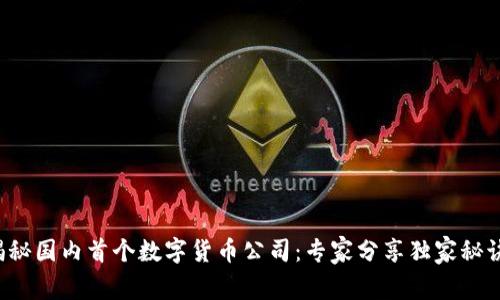 揭秘国内首个数字货币公司：专家分享独家秘诀！