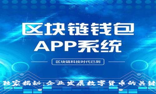 专家独家揭秘:企业发展数字货币的关键秘诀