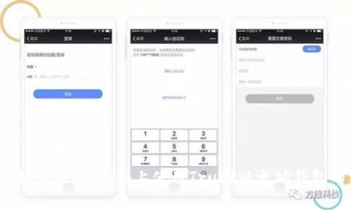 专家揭秘:如何在iOS设备上使用Trust以太坊钱包的独家秘诀