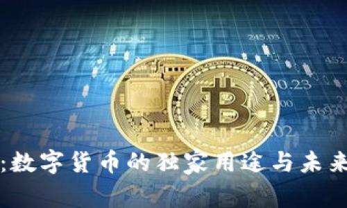 专家揭秘:数字货币的独家用途与未来发展秘诀