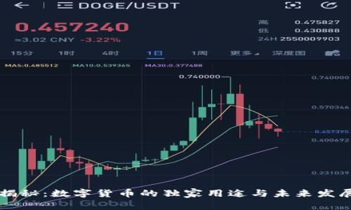 专家揭秘:数字货币的独家用途与未来发展秘诀