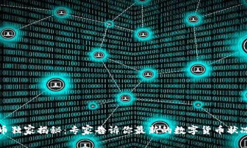 广州数字货币独家揭秘:专家告诉你最新的数字货币状况与发展趋势