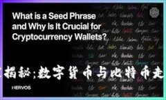 专家独家揭秘：数字货币与比特币走势