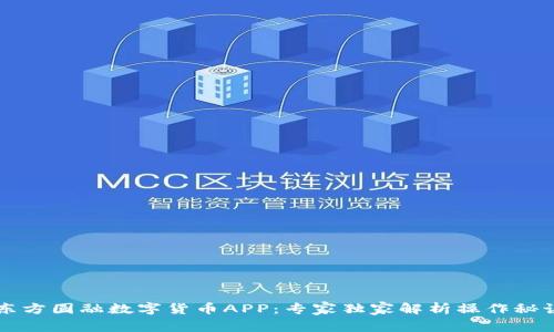 东方圆融数字货币APP:专家独家解析操作秘诀