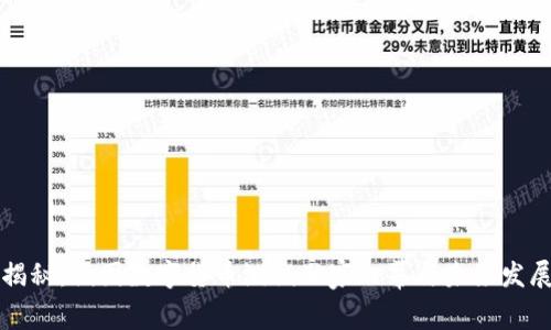 专家揭秘:俄国数字货币测试独家内幕与未来发展秘诀