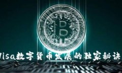 专家揭秘：Visa数字货币发展的独家秘
