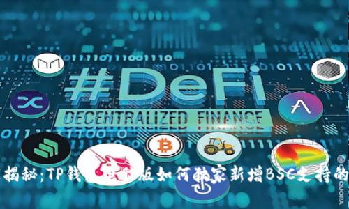 专家揭秘：TP钱包电脑版如何独家新增BSC支持的秘诀