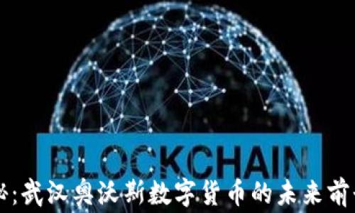 
专家独家揭秘：武汉奥沃斯数字货币的未来前景与投资秘诀